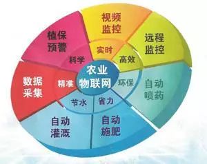 農業(yè)物聯(lián)網技術與精準農業(yè)的發(fā)展