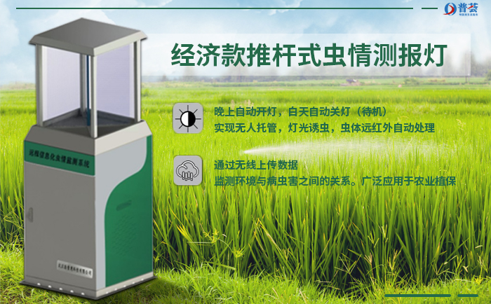 兩種你不知道的殺蟲方法