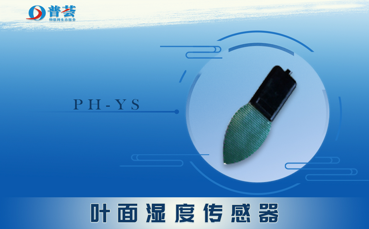  葉面溫度傳感器是什么？