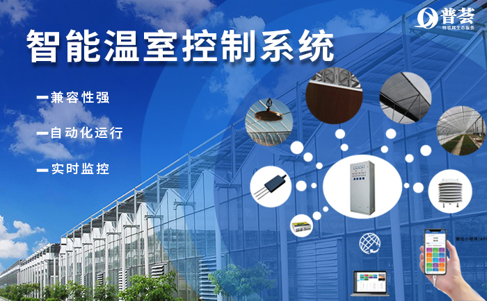 ?  武漢新普惠“加持”的現(xiàn)代農(nóng)業(yè)有多牛？